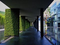 -深圳大梅沙京基洲际度假酒店