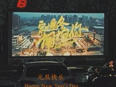 -枫花园汽车电影院(朝阳公园店)