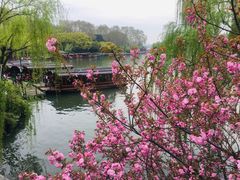 -西湖外事游船(湖滨二公园外事游船码头)