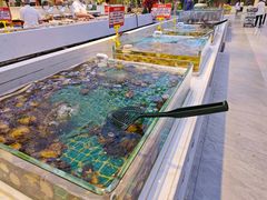 -集品鲜湾·蒸汽海鲜自助料理(青岛银座和谐广场店)