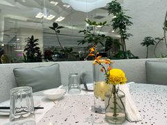 -大树餐厅(朝阳大悦城店)