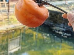 -碓臼峪自然风景区