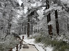 -峨眉山风景名胜区