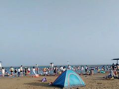 -碧海金沙
