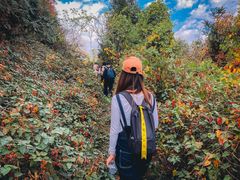 -南京市无想山景区