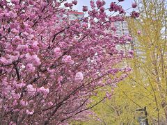 -城市运动公园(未央区)