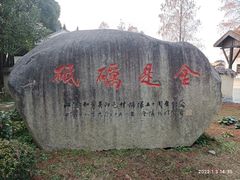 -同里国家湿地公园