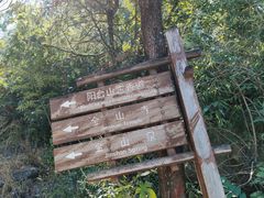 -阳台山自然风景区