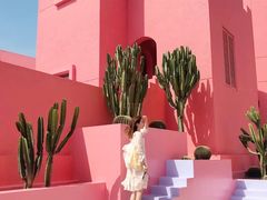 -漳州滨海火山岛自然生态风景区