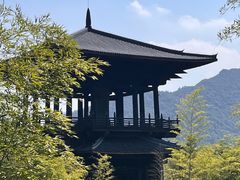 -大唐贡茶院
