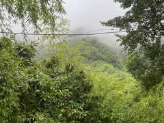 -龙颈河漂流