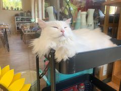 -小时光咖啡馆(开森度假森林店)