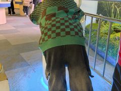 -陕西自然博物馆