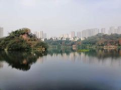 -重庆彩云湖湿地公园