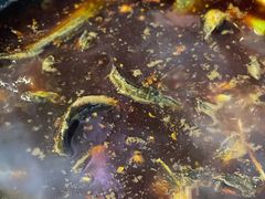 -金海椒罐罐鲢鱼(东方桂苑店)