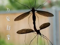 -张公山寨景区