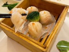 -珠江夜游天字码头