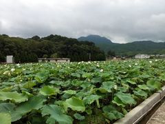 android_upload_pic-古田会议纪念馆