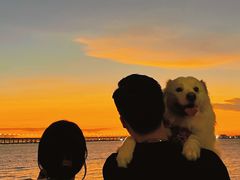 -宝安西湾红树林湿地公园