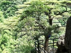-井冈山革命烈士陵园
