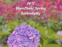 -深圳市中科院仙湖植物园