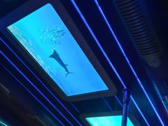 -海洋公园海洋列车－海滨站