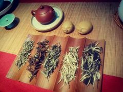 -诗宇时光茶艺书法古琴培训