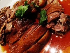 充满欲望的鹅肉-MR鹅外
