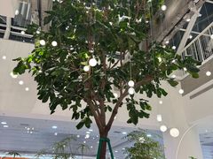 -大树餐厅(红旗街万达店)
