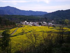 -塔川景区