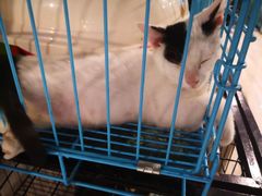 -SAH健身私教工作室(紫东店)