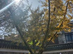 -清漾毛氏文化村