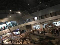 -自贡恐龙博物馆