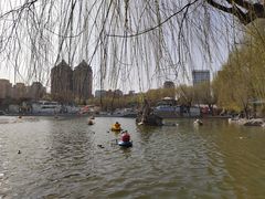 -团结湖公园