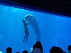 -多彩贵州城极地海洋世界