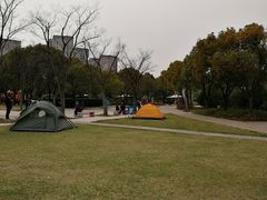 -新江湾城公园