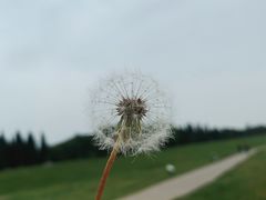 -秦始皇帝陵博物院-丽山园