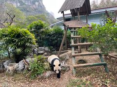 -柳州市动物园