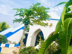 -马大胡子清真西北菜