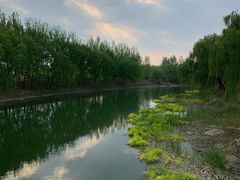 -东郊湿地公园