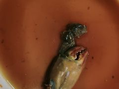 -红灯笼龙凤饭店(宁波老字号店)