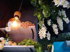 -Bubble Nini Chippendale