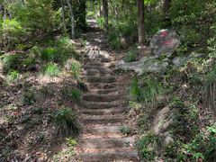 -青龙山国家森林公园