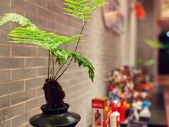 -龙悦湾酒家·八阵鱼生·渔人码头店