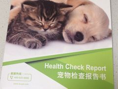 -瑞鹏宠物医院·骨科·猫科·内科(第一中心)