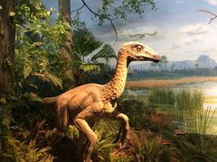 -贝林大翅鲸简餐厅(国家海洋博物馆店)