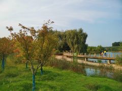 -淇河国家湿地公园