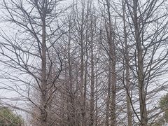 -苏州吴中太湖旅游区