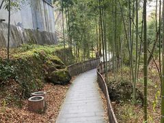 -藏龙百瀑风景区