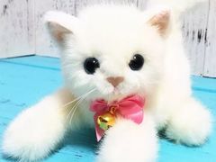 -TOYSRUS玩具反斗城(上海万象城店)